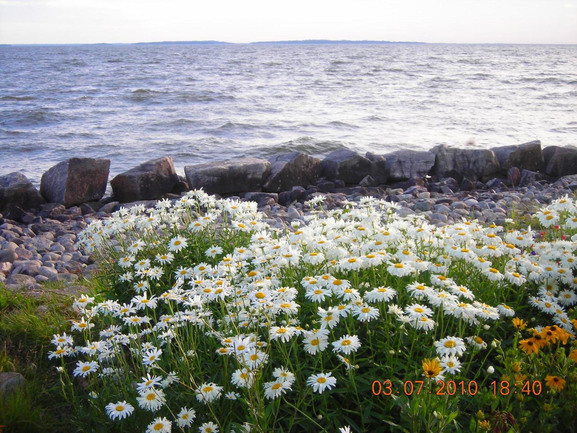 Lakeshore Suites North Bay Esterno foto